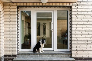 pet-door-sliding-glass-door-security