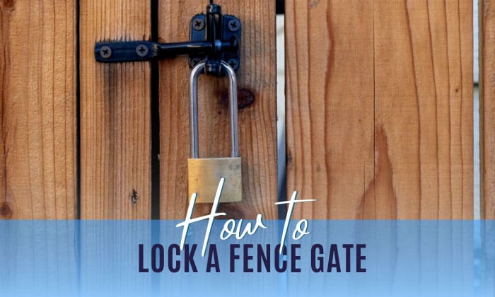 Vinyl Fence Gate Locks: Best Tips To Know While Shopping