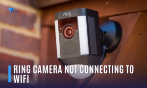 Ring Camera Not Connecting to Wifi